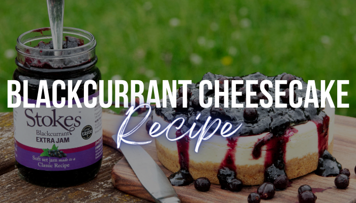 Blackcurrant & Vanilla Cheesecake