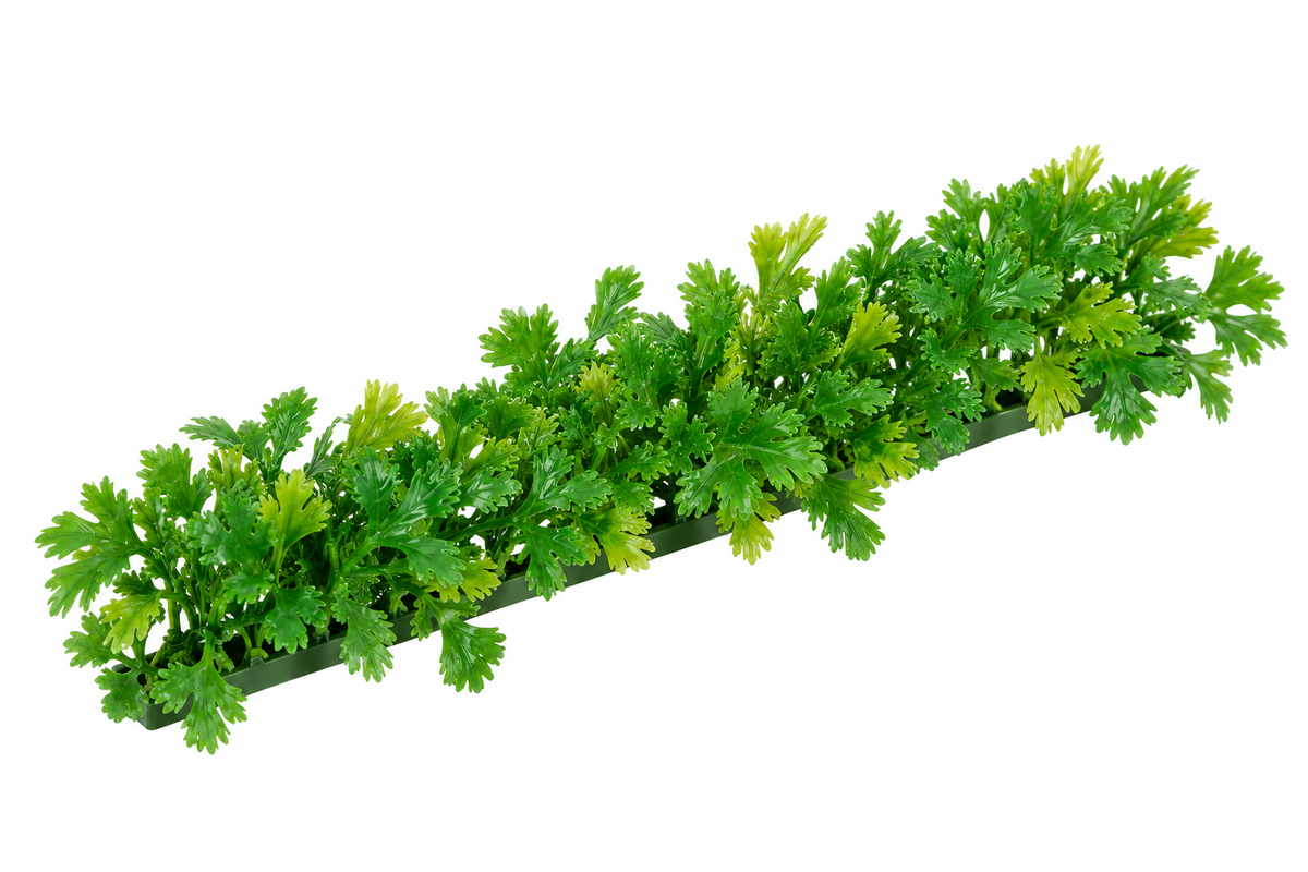Garnish Refill Luxury Parsley 250mm (12 Pack)