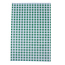 Individual green gingham duplex sheet.