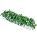 Luxury Parsley Garnish White Base 6/Box