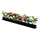 Red & Green Coleus Garnish Black Base 12/Box